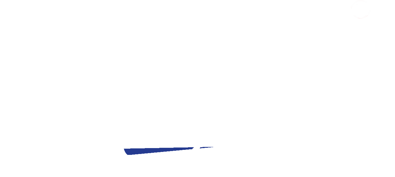 Phoenix Dison Tec LLC Logo in blue